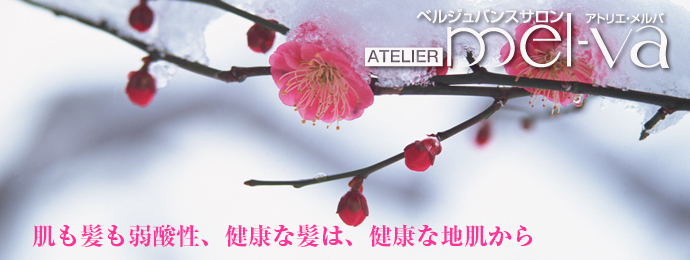 アトリエ・メルバ イメージ写真